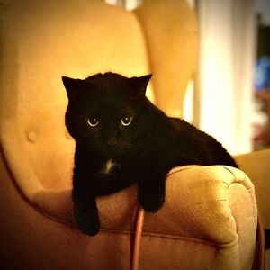 Meet your Posher, Chris